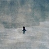 who hasnt wondered about these things?
lone bather