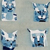 wildcats 1