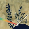 pink floyd creation myth