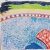 Pool Floaty