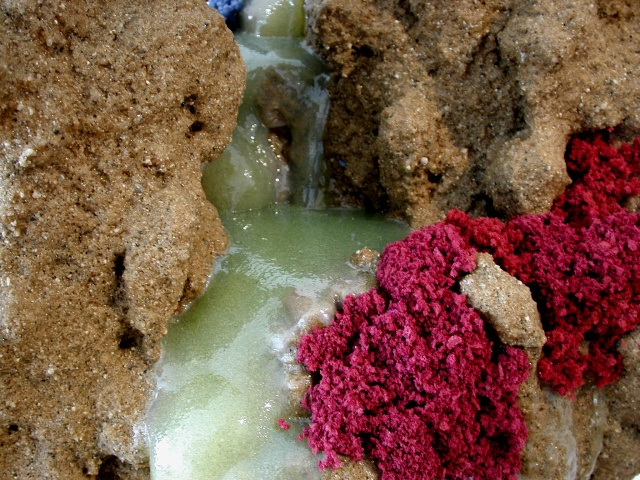 Ebb and Flow (detail)