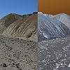 desert/tresed