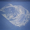 AstroScopic Series:  Planck Observatory