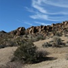 desert/tresed