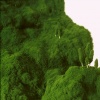 Landscapes II