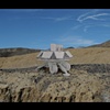 Still from The Tellurian-to-Tellurian Lander (T2 Lander)