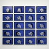 Tellurian-to-Tellurian Lander in Chroma Key Blue (T2 Lander in CKB) Installation
