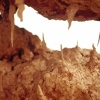 Newton's Place (detail)
