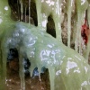Nether (detail)