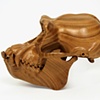 Hominid: Chimpanzee, 2011