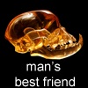 Man's Best Friend