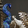 Birds of Paradise