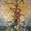 Allegory of the Monocerus