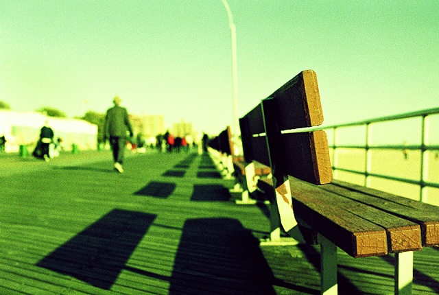 

Bench

Coney Island, NY