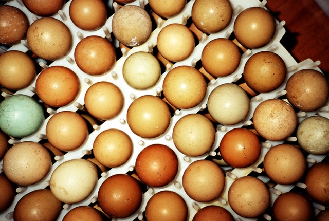 

Eggs

Tuscany