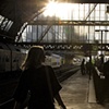 TrainLady

Rotterdam