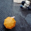 Ombrelli

Rome