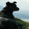 GrassMountain

Pokhara, Nepal