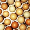 Eggs

Tuscany