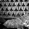 Umbrellas

Naples