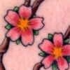 kick ass cherry blossom tattoo by paul nolin