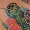 seaturtle