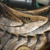Brass Seth Ciferri Walker