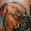 roxy
