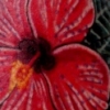 kick ass hibiscus tattoo by paul nolin