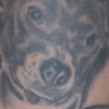 kick ass portrait tattoo by paul nolin