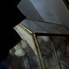 Cotton Flight- detail