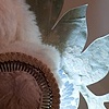ANIBOTANICAL 2 (diptych) 