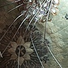 AniBotanical 1 (diptych)