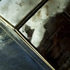 COTTON FLIGHT- detail