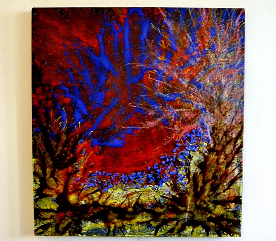 Fragmented Vision