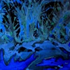 Blue Environment