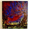 Fragmented Vision