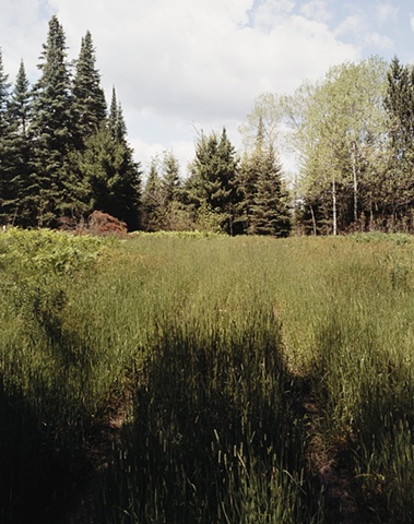 Track near Embarass, Minnesota 2001