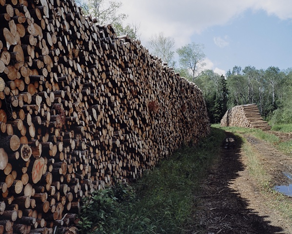 Logging Road near Greenwood Creek 2001