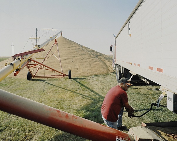 Robert, Barley Harvest, Kenmare, North Dakota  2009