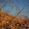 Moonrise Behind Mos House, Missouri Valley, Harrison County, Iowa 2000