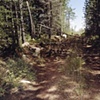 Logging Road off Upland Trail 2001