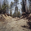 Track With Rock, North of Babbitt, Minnesota 2002