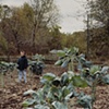 Travis, Harrison County, Iowa 2000