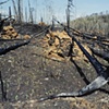 Prescribed Burn Near Magnetic Rock, Gunflint Trail, Superior National Forest 2003