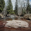 Caribou River 2001