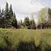 Track near Embarass, Minnesota 2001