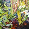 Fern