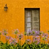 Argentina: Stucco Farmhouse