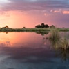 Kwando River at Dusk